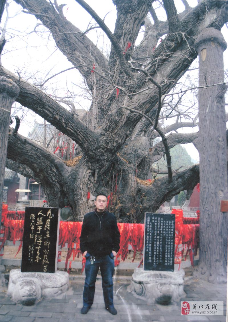 王涑袭简介 王涑袭简介